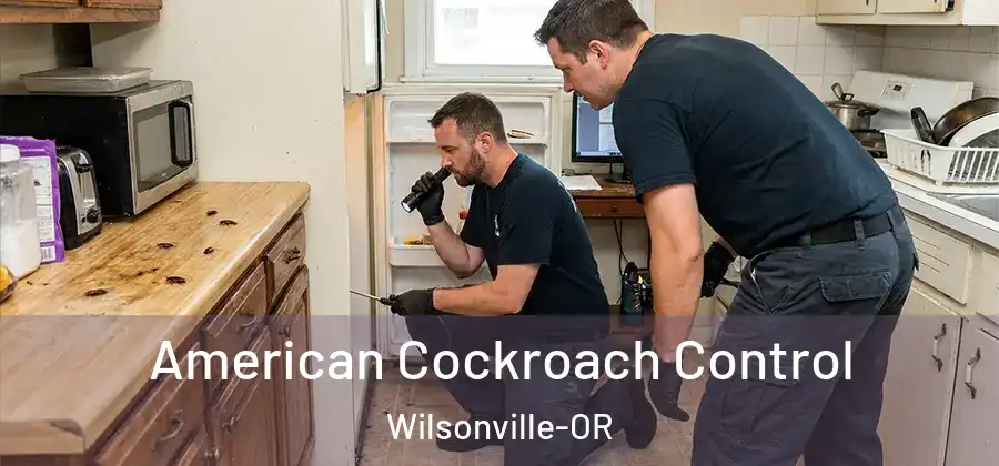 American Cockroach Control Wilsonville-OR