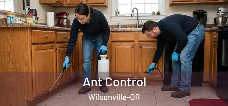  Ant Control Wilsonville-OR