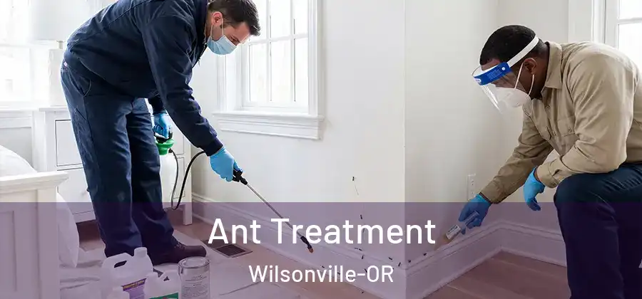  Ant Treatment Wilsonville-OR