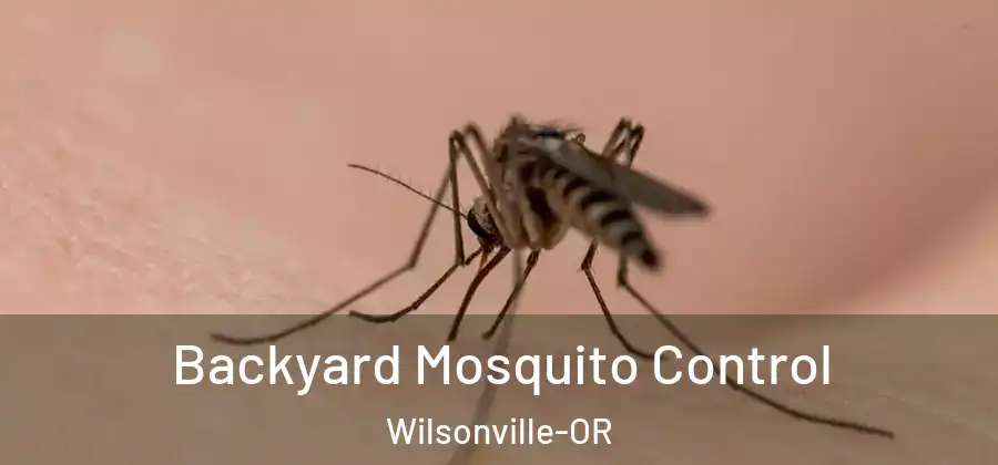 Backyard Mosquito Control Wilsonville-OR