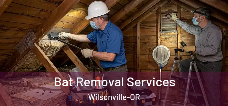 Bat Removal Services Wilsonville-OR