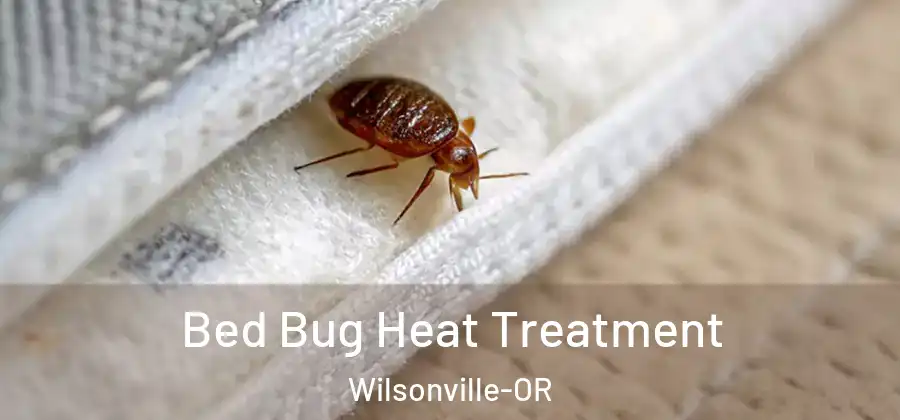 Bed Bug Heat Treatment Wilsonville-OR