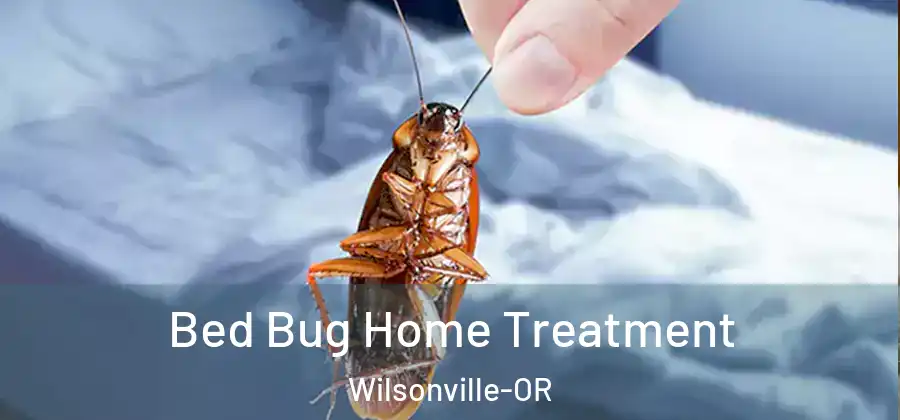 Bed Bug Home Treatment Wilsonville-OR