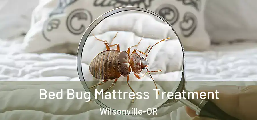 Bed Bug Mattress Treatment Wilsonville-OR