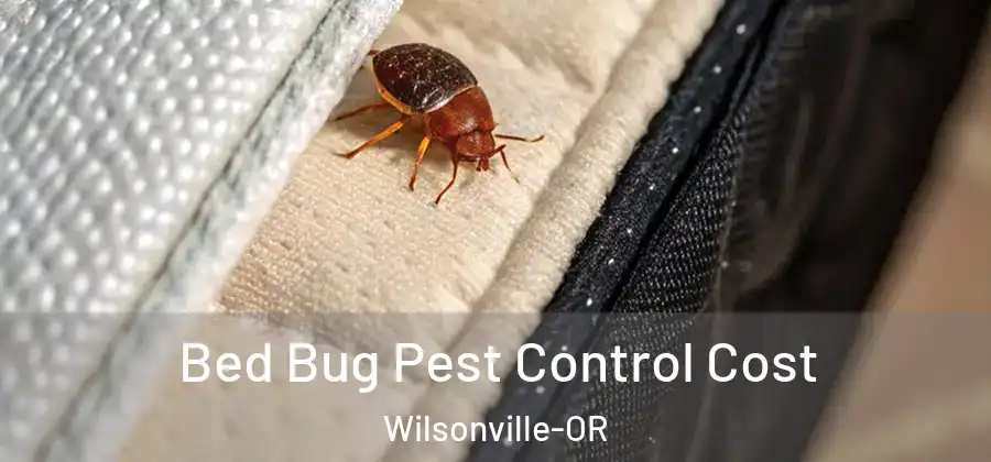  Bed Bug Pest Control Cost Wilsonville-OR