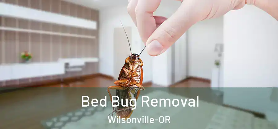  Bed Bug Removal Wilsonville-OR