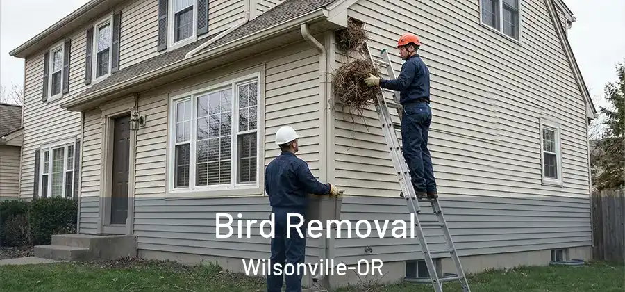 Bird Removal Wilsonville-OR