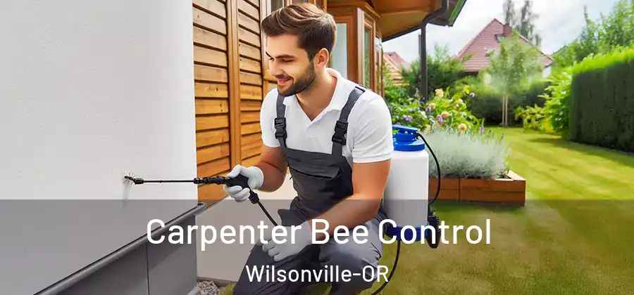 Carpenter Bee Control Wilsonville-OR