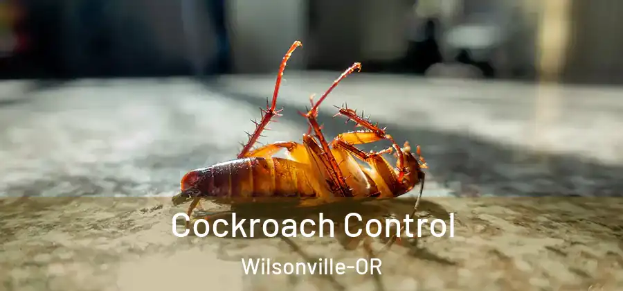  Cockroach Control Wilsonville-OR