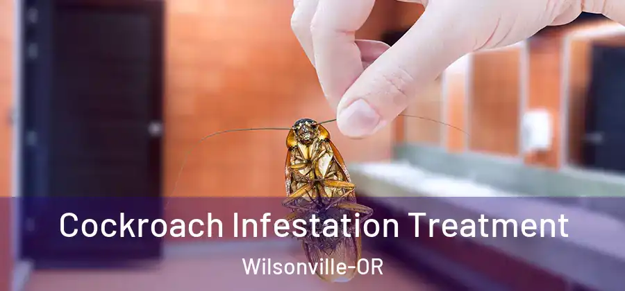Cockroach Infestation Treatment Wilsonville-OR