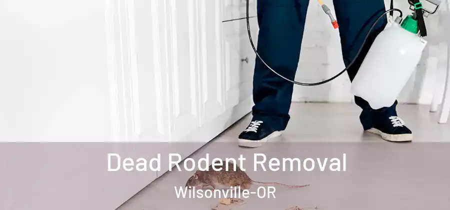 Dead Rodent Removal Wilsonville-OR