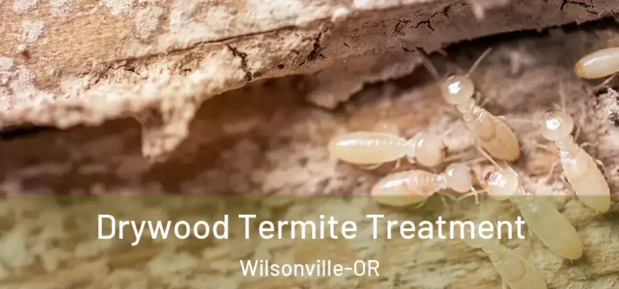 Drywood Termite Treatment Wilsonville-OR