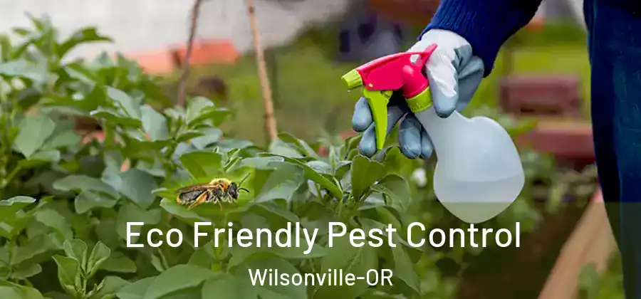 Eco Friendly Pest Control Wilsonville-OR