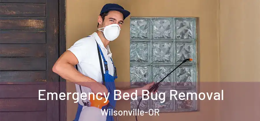  Emergency Bed Bug Removal Wilsonville-OR