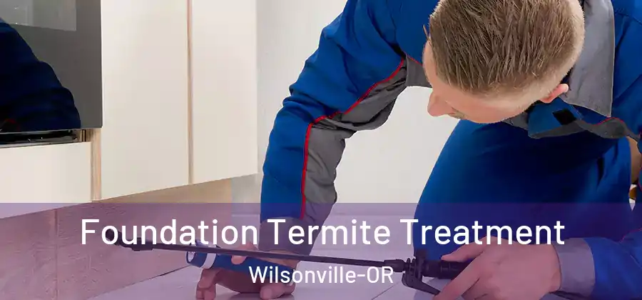 Foundation Termite Treatment Wilsonville-OR