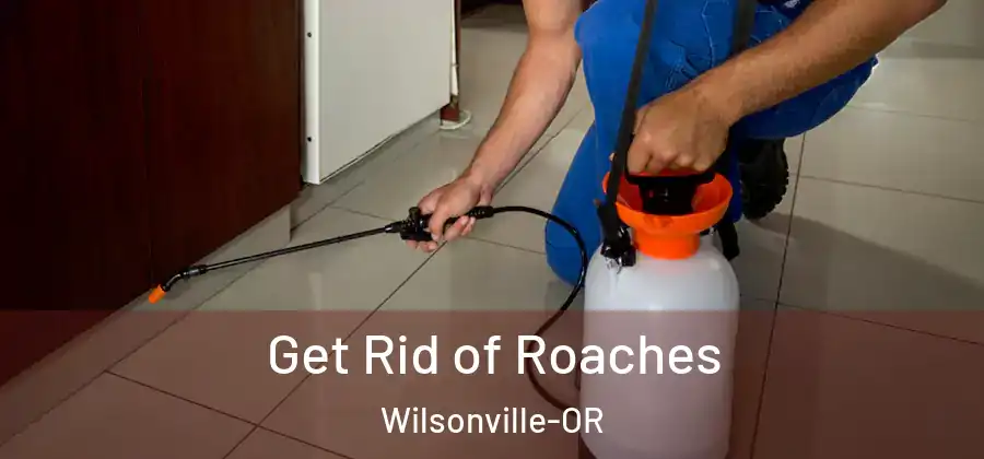 Get Rid of Roaches Wilsonville-OR