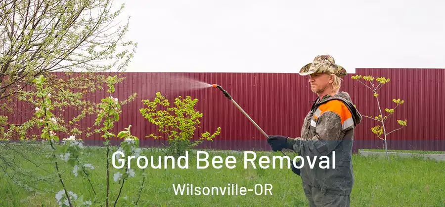 Ground Bee Removal Wilsonville-OR