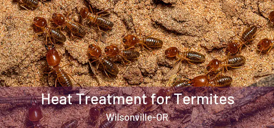  Heat Treatment for Termites Wilsonville-OR