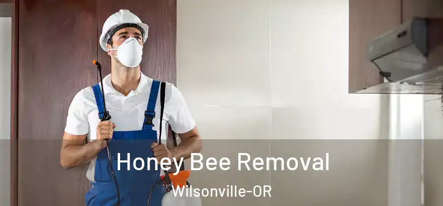  Honey Bee Removal Wilsonville-OR