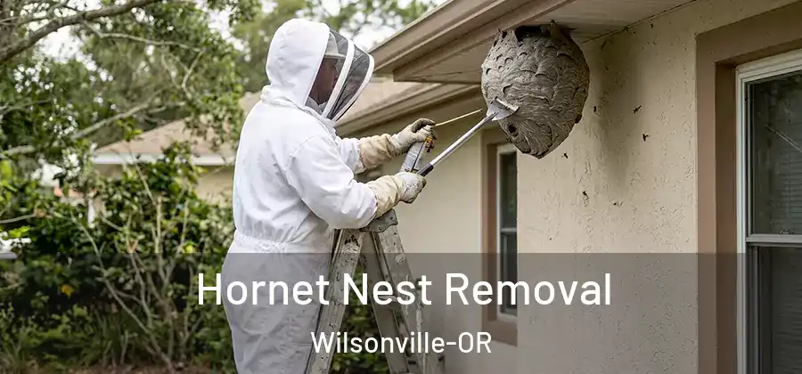 Hornet Nest Removal Wilsonville-OR