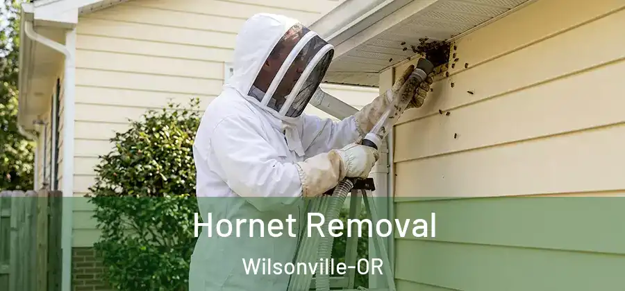 Hornet Removal Wilsonville-OR