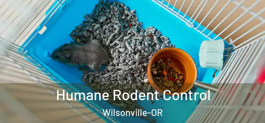 Humane Rodent Control Wilsonville-OR