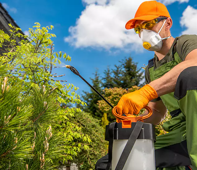 Your Best Bug Spray for Home Team in Wilsonville, OR