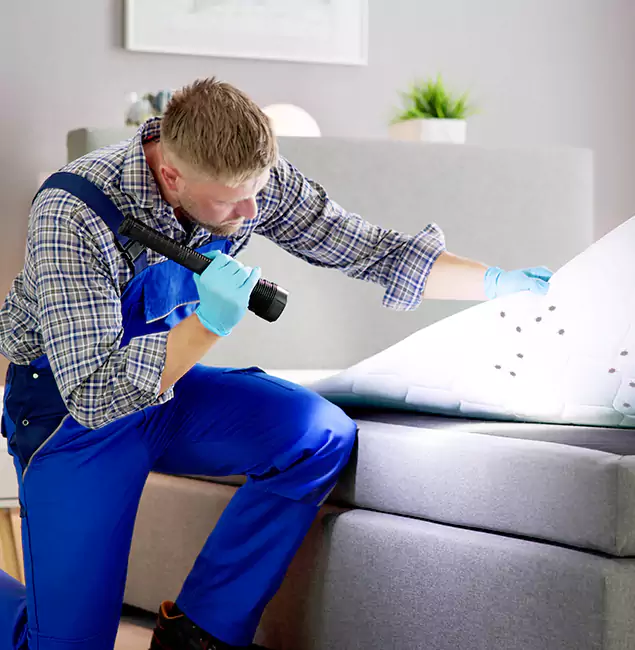 Why Choose Wilsonville Pest Control Pro For Bed Bug Heat Treatment in Wilsonville, OR?