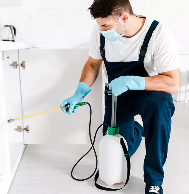Why Wilsonville, OR Homeowners Trust Us for German Roach Control?