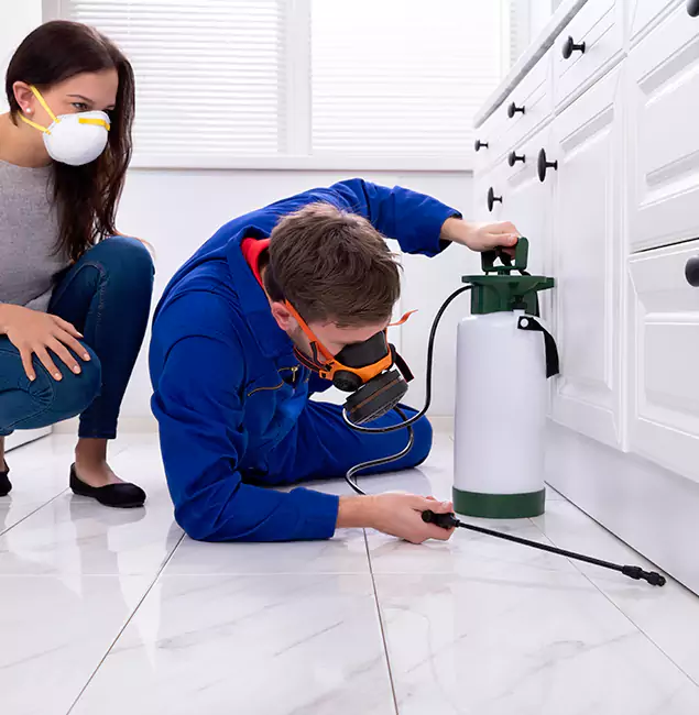 Why Wilsonville, OR Homeowners Trust Wilsonville Pest Control Pro for Roach Control?