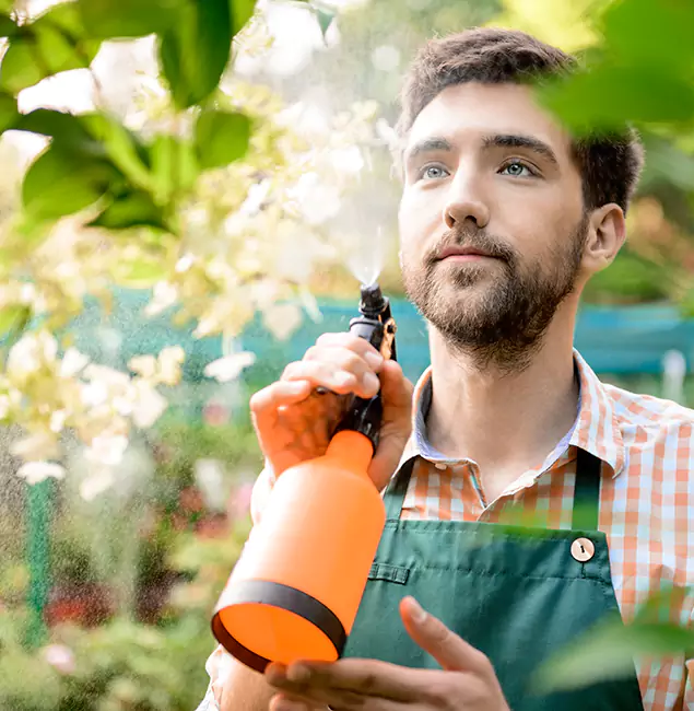 Why Wilsonville Pest Control Pro Is the Best Mosquito Control Company in Wilsonville, OR?
