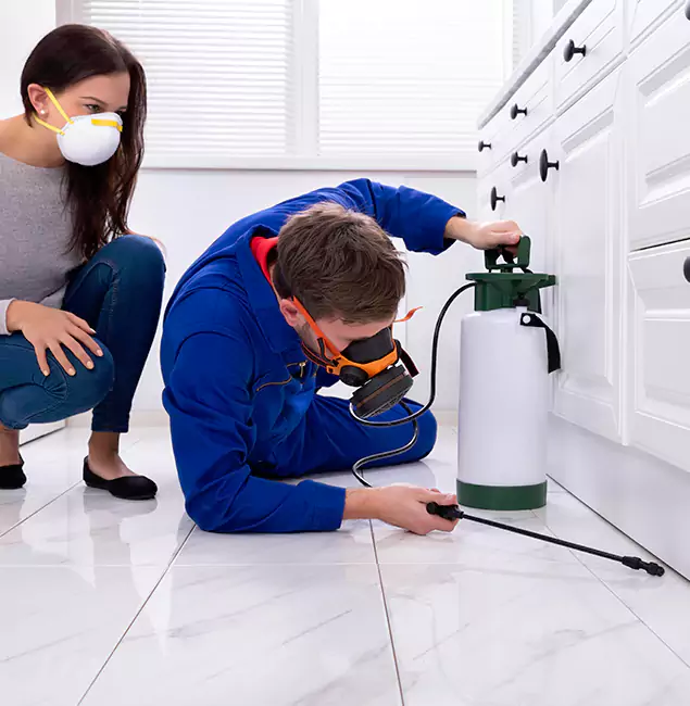 Why Choose Wood Termite Treatment by Wilsonville Pest Control Pro in Wilsonville, OR?