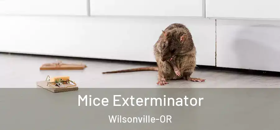Mice Exterminator Wilsonville-OR