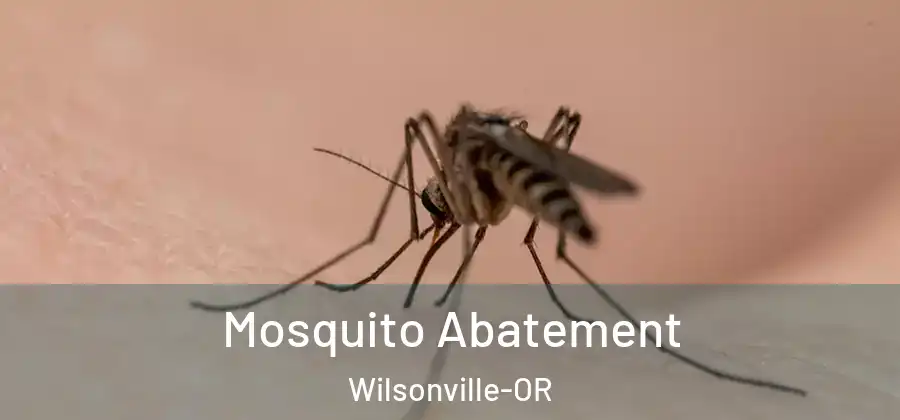 Mosquito Abatement Wilsonville-OR