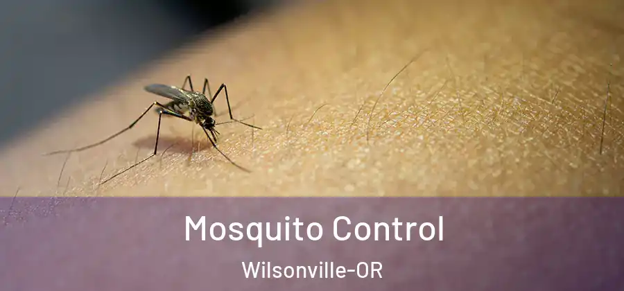  Mosquito Control Wilsonville-OR