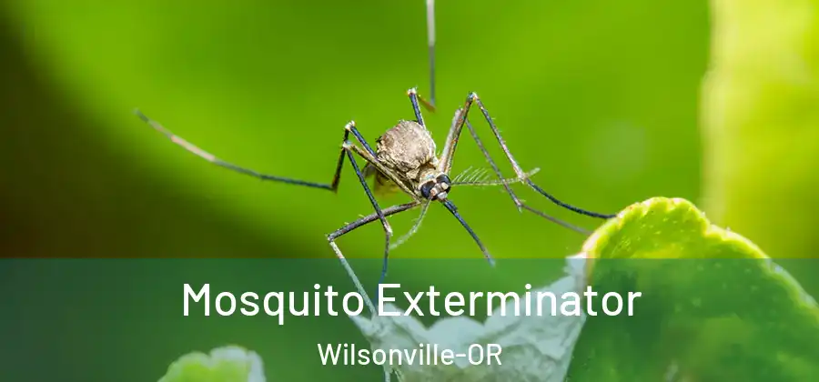  Mosquito Exterminator Wilsonville-OR