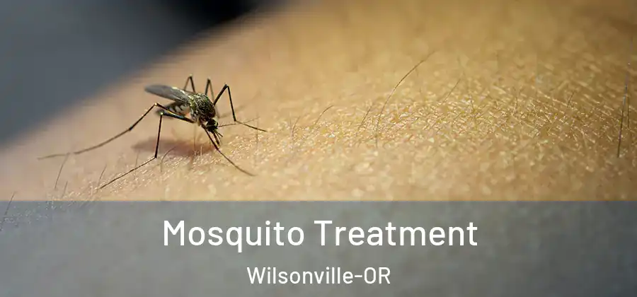 Mosquito Treatment Wilsonville-OR