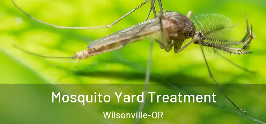 Mosquito Yard Treatment Wilsonville-OR