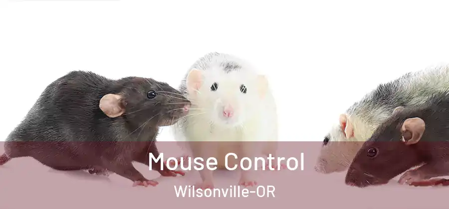  Mouse Control Wilsonville-OR