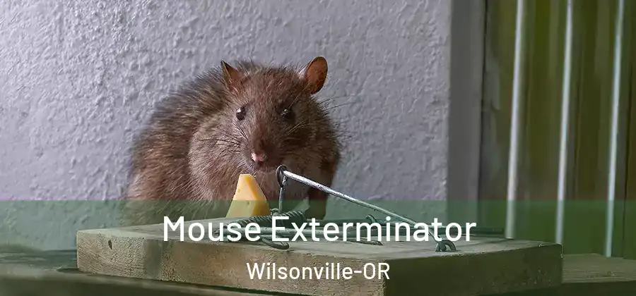 Mouse Exterminator Wilsonville-OR