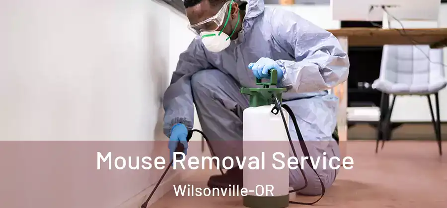 Mouse Removal Service Wilsonville-OR