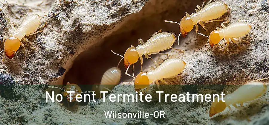 No Tent Termite Treatment Wilsonville-OR