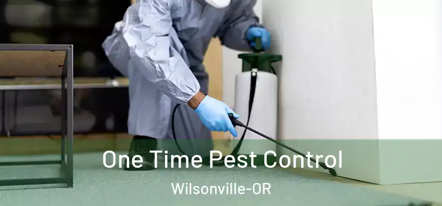  One Time Pest Control Wilsonville-OR