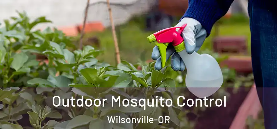Outdoor Mosquito Control Wilsonville-OR