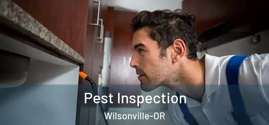 Pest Inspection Wilsonville-OR