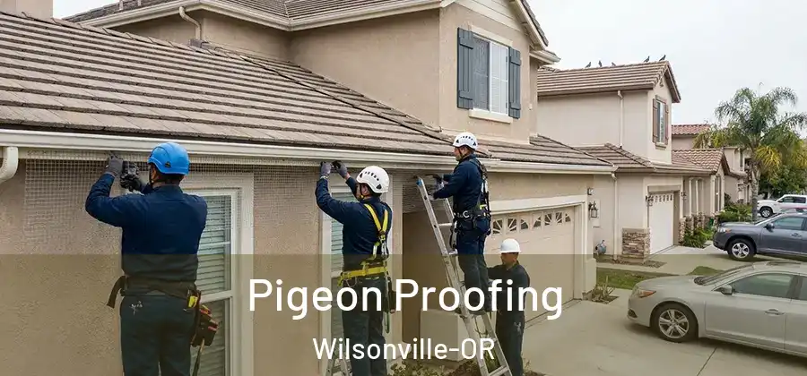 Pigeon Proofing Wilsonville-OR