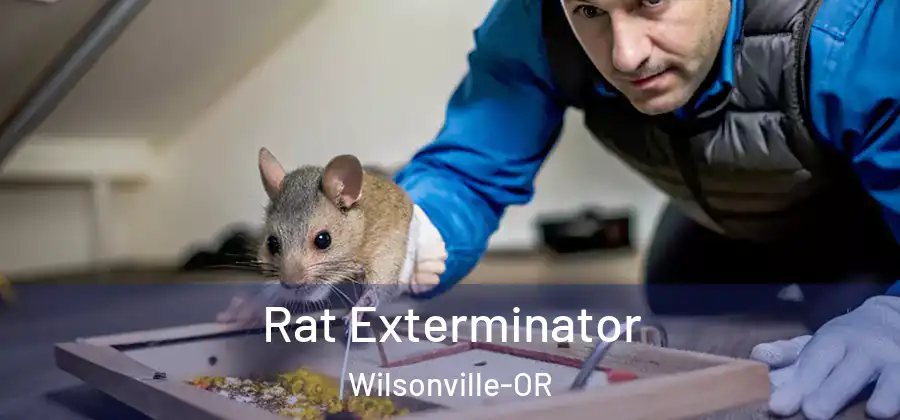  Rat Exterminator Wilsonville-OR