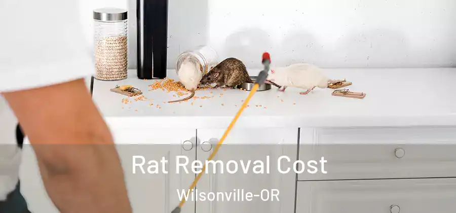 Rat Removal Cost Wilsonville-OR