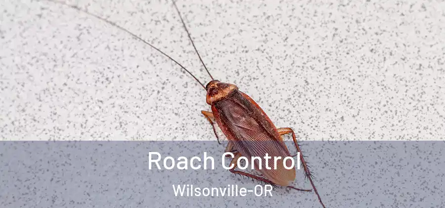 Roach Control Wilsonville-OR