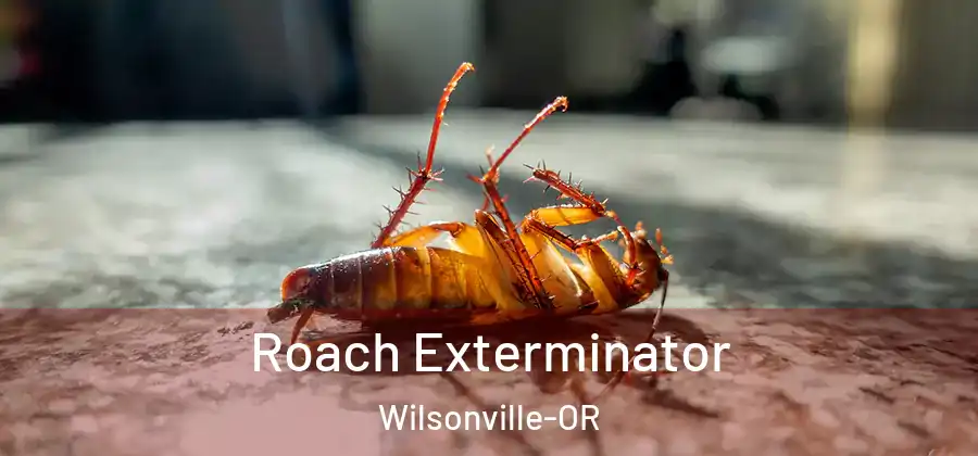  Roach Exterminator Wilsonville-OR